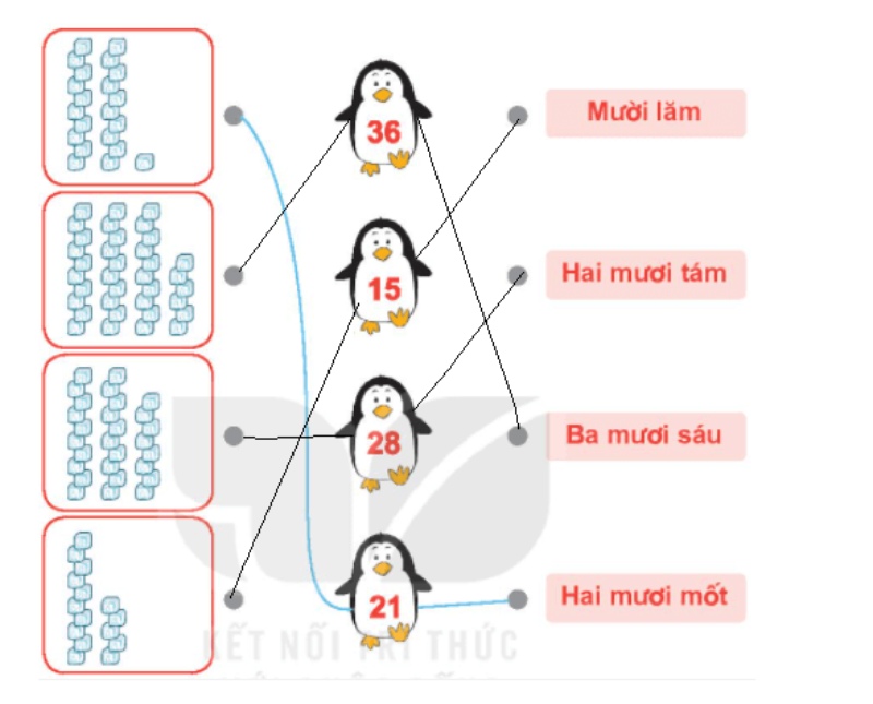 đáp án SGK toán lớp 1 tập 2 kết nối tri thức - Bài 21: Số có hai chữ số trang 5